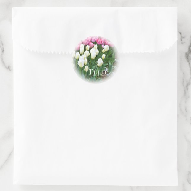 Pegatina Redonda Tulip (Bolso)