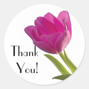 Pegatina Redonda Tulipán Rosado Caliente, ¡Gracias!