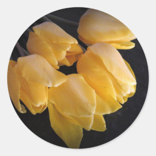 Pegatina Redonda "Tulipanes amarillos con un fondo oscuro "