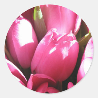 Pegatina Redonda Tulipanes rosados