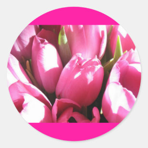 Pegatina Redonda Tulipanes rosados