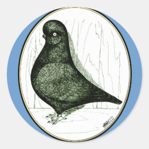 Pegatina Redonda Tumbler Pigeon LFCL de 1978