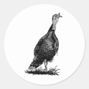 Pegatina Redonda Turquía salvaje (línea arte)