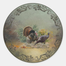 Turquía silvestre