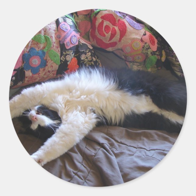 Pegatina Redonda Tuxedo Cat Cute doing a Mexican Wave Postcard (Anverso)