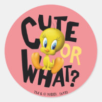 TWEETY™- ¿Es o no es adorable?