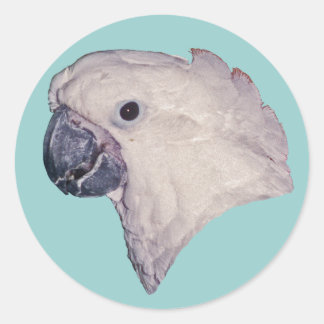 Pegatina Redonda Umbrella Cockatoo