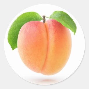 Pegatina Redonda Un albaricoque