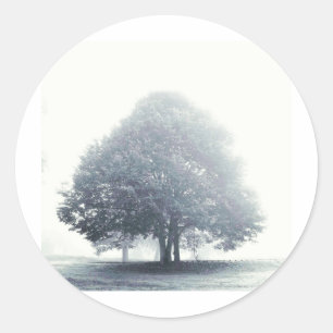 Pegatina Redonda Un árbol en la niebla