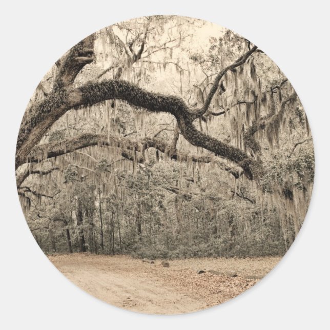 Pegatina Redonda Un arco de pasteles (Anverso)