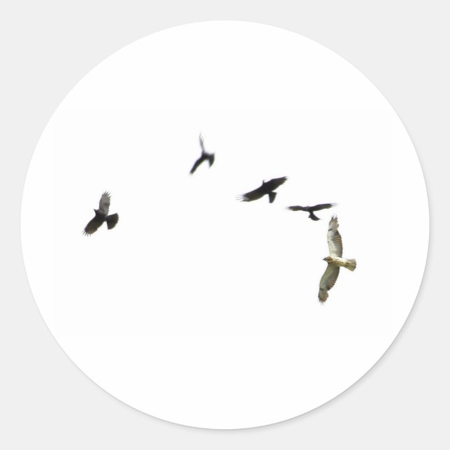Pegatina Redonda Un asesinato de cuervos (Anverso)