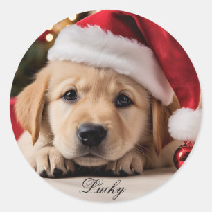 Pegatina Redonda Un cachorro lindo. Navidades Recuperador cachorro
