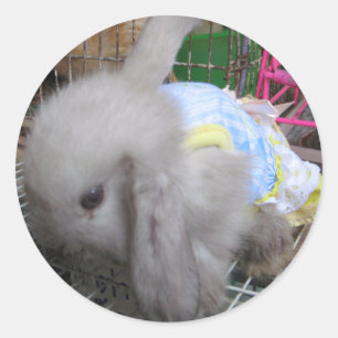 Pegatina Redonda Un conejo bebé kawaii con vestido