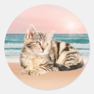 Pegatina Redonda Un gato cortador a rayas sentado en la playa con p