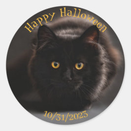 Pegatina Redonda Un gato negro malvado asombrado Halloween