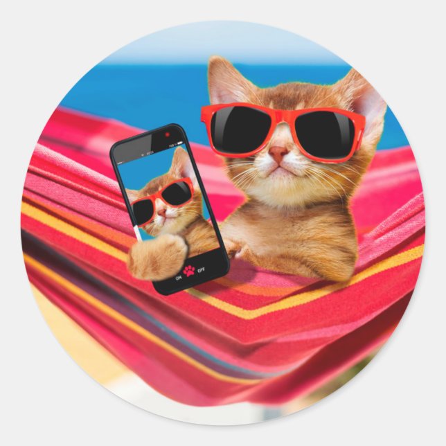 Pegatina Redonda Un lindo gato estaba tirado en la hamaca (Anverso)