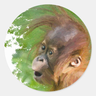 Pegatina Redonda Un orangután bebé lindo mira con asombro