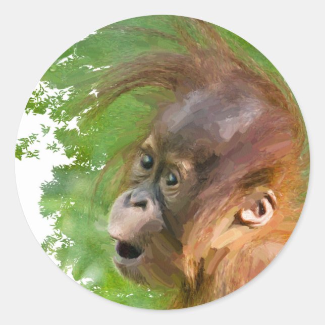 Pegatina Redonda Un orangután bebé lindo mira con asombro (Anverso)