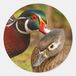 Pegatina Redonda Un par inseparable de pollos de madera