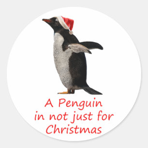 Pegatina Redonda Un pingüino no es sólo para Navidad