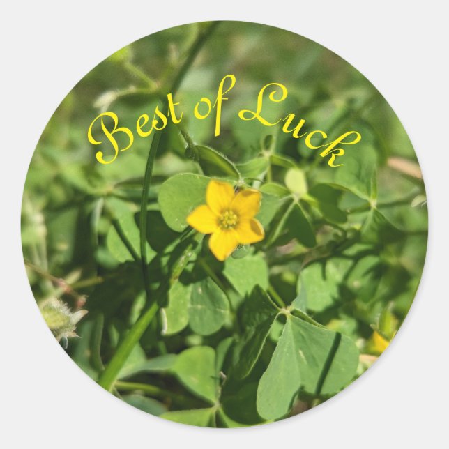 Pegatina Redonda Un poco de flor de la suerte (Anverso)