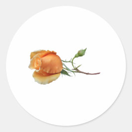Pegatina Redonda Un solo esqueje de rosa    