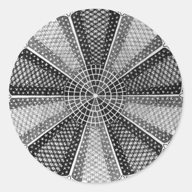 Pegatina Redonda Una diatomea marina (Anverso)