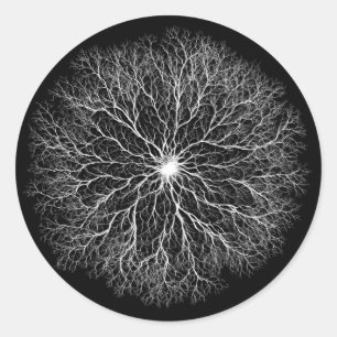 Pegatina Redonda Una Fuente Diseño del Árbol de la Vida