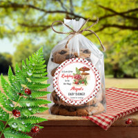 Una Pequeña Y Pequeña Ladybug Está En Camino De Ba