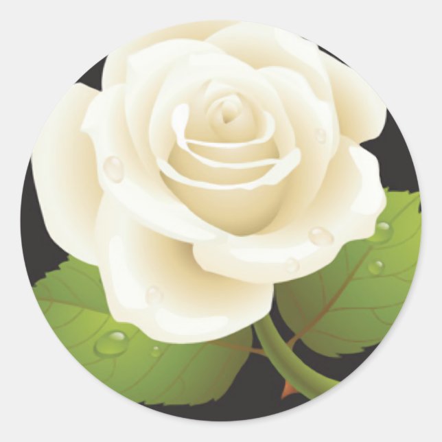 Pegatina Redonda Una rosa blanca (Anverso)