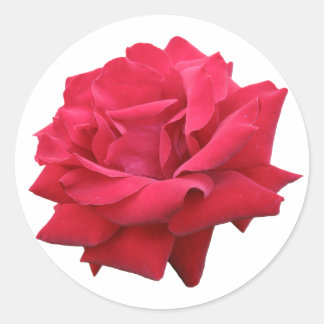 Pegatina Redonda Una rosa roja clásica
