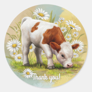 Pegatina Redonda Una vaca bebé en un campo en el oeste de Daisies