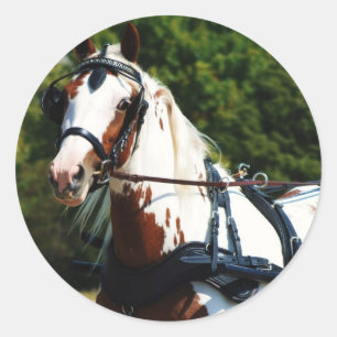 Pegatina Redonda unidad nacional