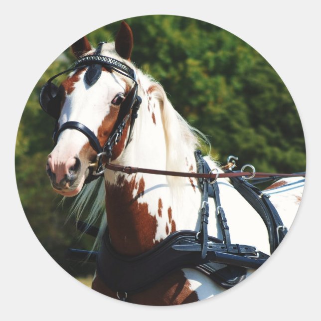 Pegatina Redonda unidad nacional (Anverso)