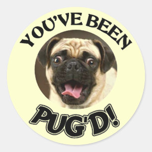 PEGATINA REDONDA ¡USTED HA SIDO PUG'D! - PERRO DIVERTIDO DEL BARRO