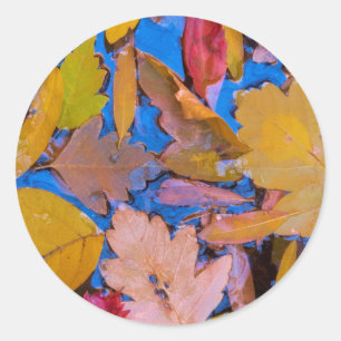 Pegatina Redonda Utah, área de recreación nacional 2 del cañón de G