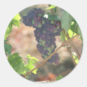 Pegatina Redonda Uvas