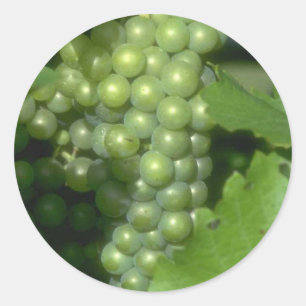 Pegatina Redonda Uvas