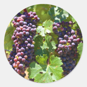 Pegatina Redonda Uvas
