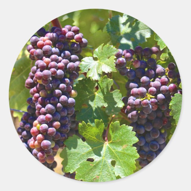 Pegatina Redonda Uvas (Anverso)
