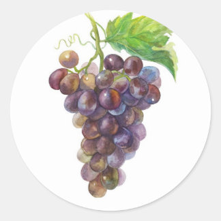 Pegatina Redonda Uvas doradas moradas - Acuarela botánica