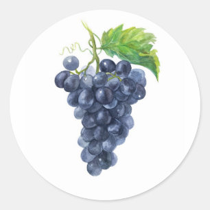 Pegatina Redonda Uvas Negras Azules – Arte de Viñedo en Acuarela