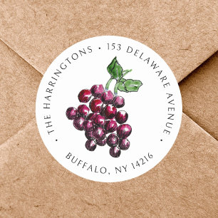 Pegatina Redonda Uvas Tintas de Vino Antiguo Dibujadas a Mano Direc
