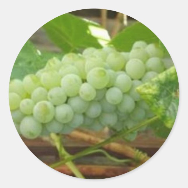 Pegatina Redonda Uvas verdes de California (Anverso)
