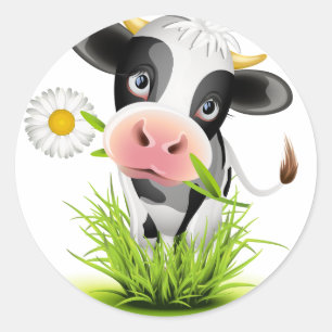 Pegatina Redonda Vaca Holstein en el pasto