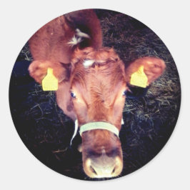 Pegatina Redonda Vaca marrón