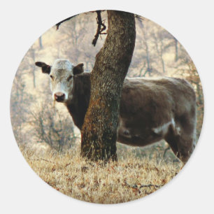 Pegatina Redonda Vaca tras árbol