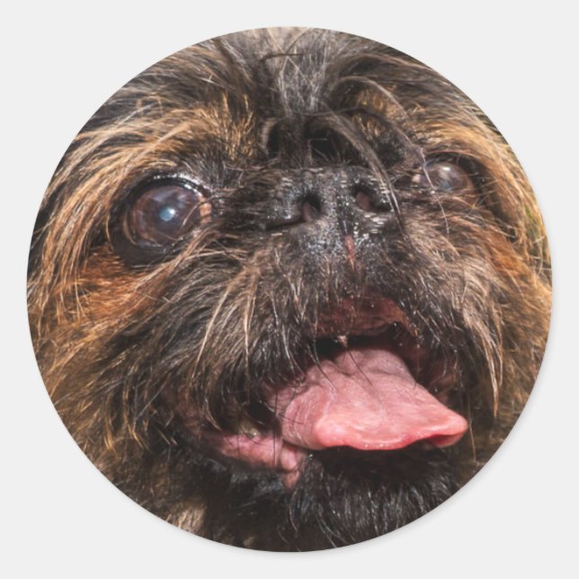 Pegatina Redonda ¡Valencia! (Anverso)