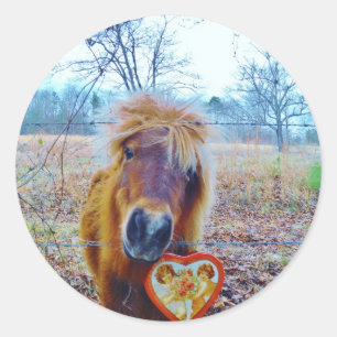 Pegatina Redonda Valentine Heart Horse