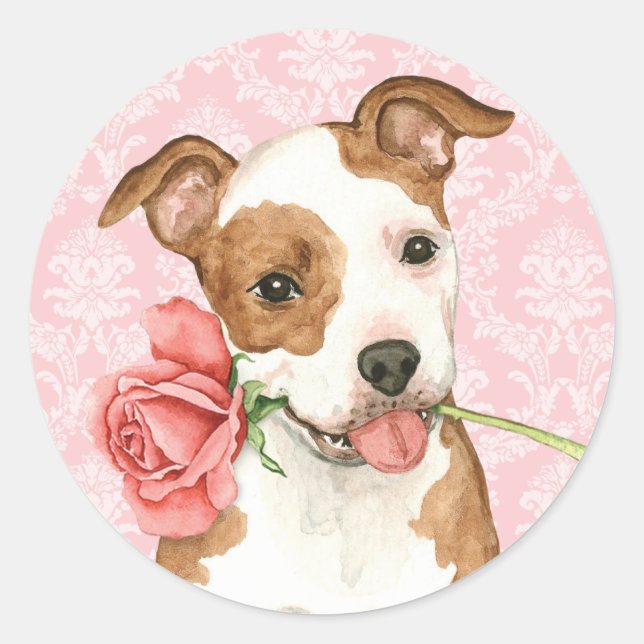 Pegatina Redonda Valentine Rosa Am Staff (Anverso)